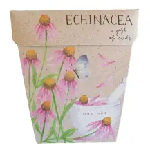 Sow n Sow Echinacea Gift of Seeds