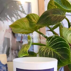 Our Father's Day range is landing very soon & it's looking very gift-worthy.  Stay tuned it's nearly here 💙

#giftsforguys #perthgiftshop #perthbusiness #giftsaustralia #gifthampers