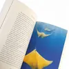 2. Oceans Gift Box thumbnail
