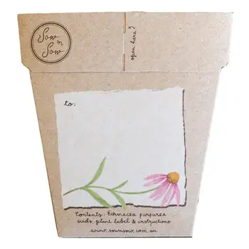 1. Sow n Sow Echinacea Gift of Seeds thumbnail