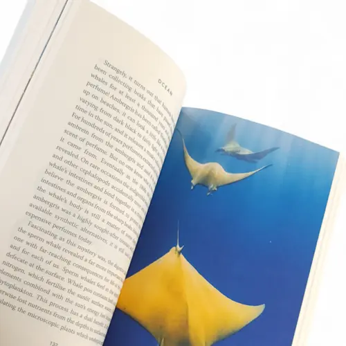 2. Oceans Gift Box thumbnail