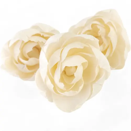 8. In Sympathy Gift Box thumbnail