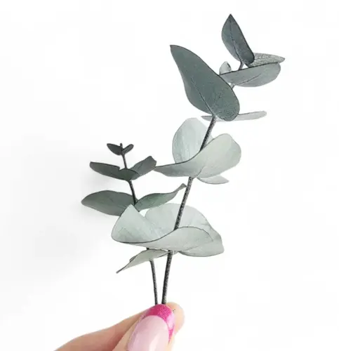 8. Shelter Self Care Gift Box thumbnail