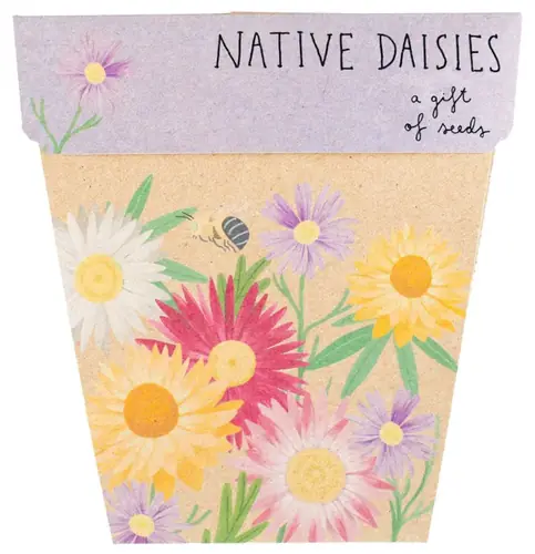 1. Daisies Gift Box thumbnail
