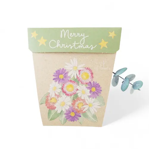 Sow n Sow Christmas Native Gift of Seeds