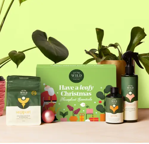 1. We The Wild 'Have a Leafy Christmas' Gift Box thumbnail