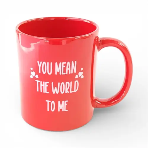 Mug - 'You Mean The World To Me'