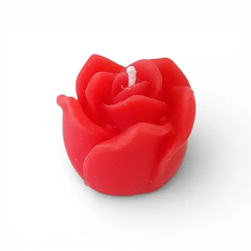 Canlde - Mini Rose