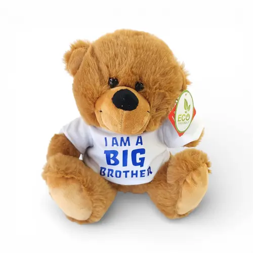 Teddy - Big Brother 23cm