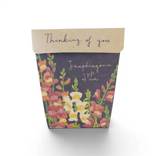 Sow n Sow 'Thinking of You' Seeds thumbnail