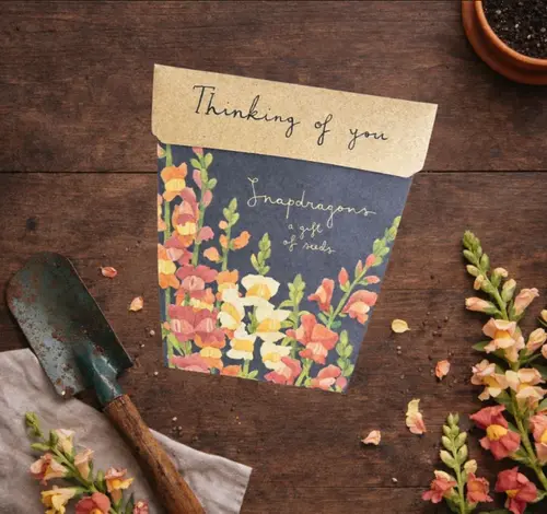 1. Sow n Sow 'Thinking of You' Seeds thumbnail